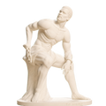 The Freedman Ivory White collectible bust