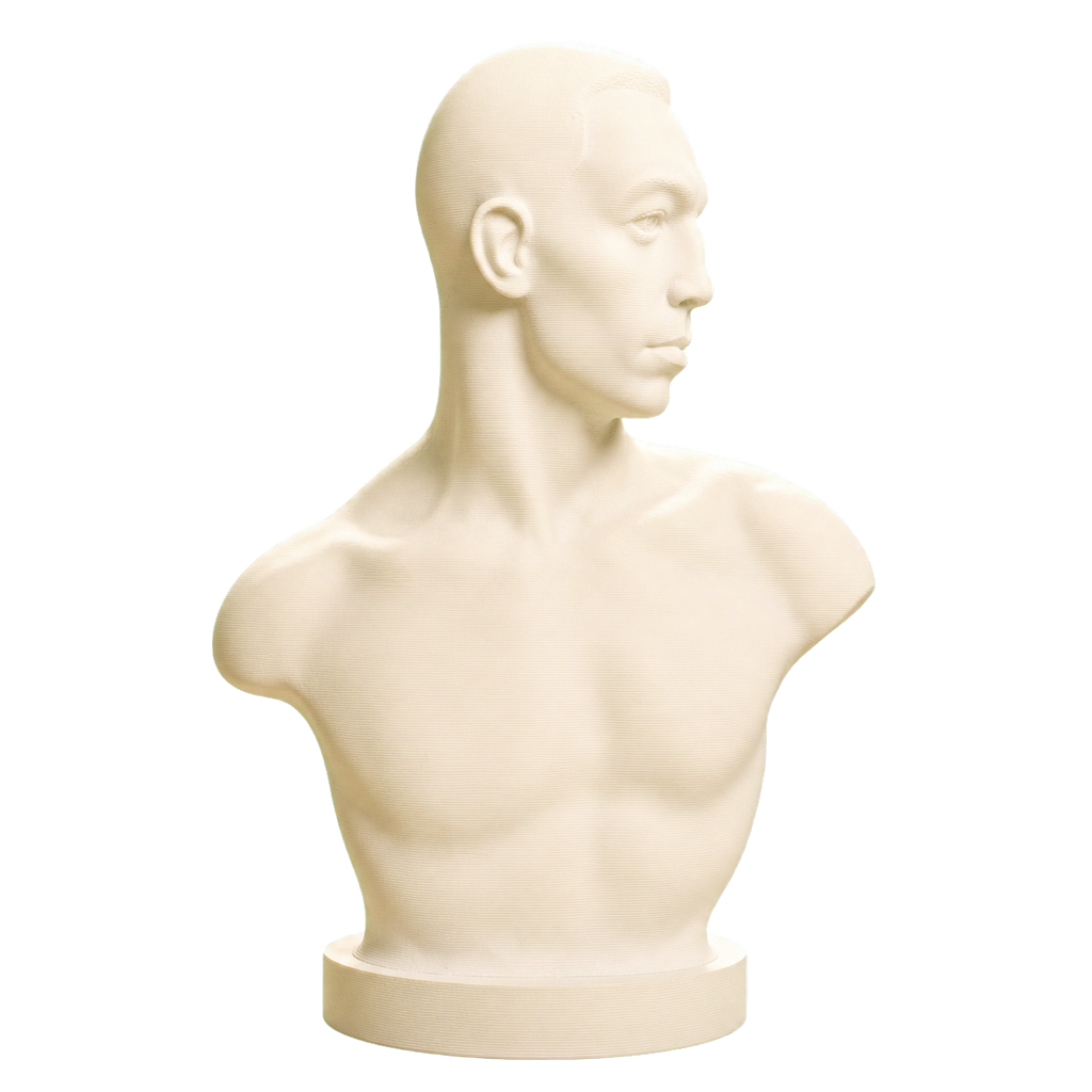 The Boxer Emil Andreasen Ivory White collectible bust