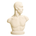 The Boxer Emil Andreasen Ivory White collectible bust