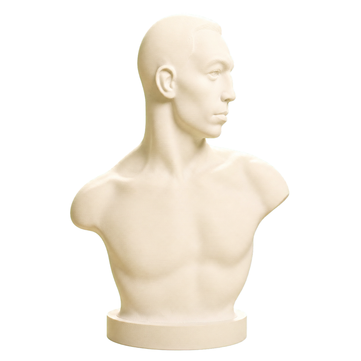 The Boxer Emil Andreasen Ivory White collectible bust
