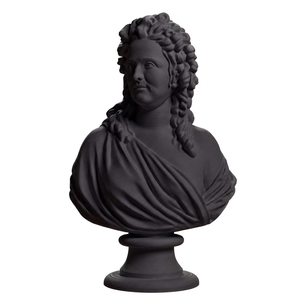 Madame de Wailly nee Adelaide-Flore Belleville (1765-1838) Charcoal Black collectible bust
