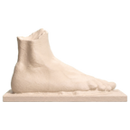 Right foot of an athlete (?) Ivory White collectible bust