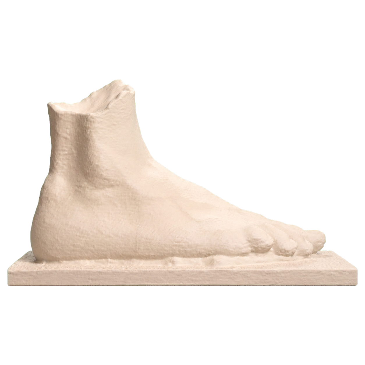 Right foot of an athlete (?) Ivory White collectible bust