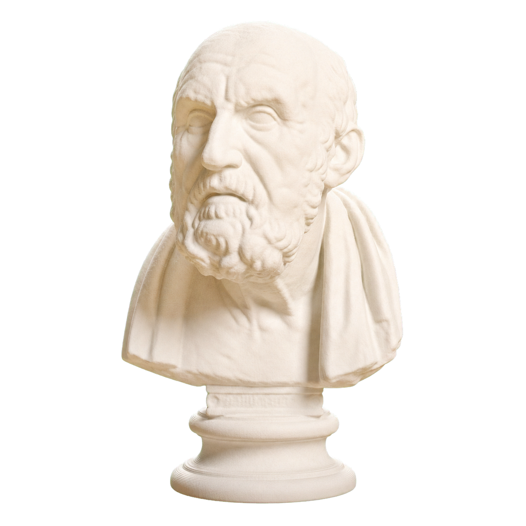 Portrait of Chrysippos Ivory White collectible bust