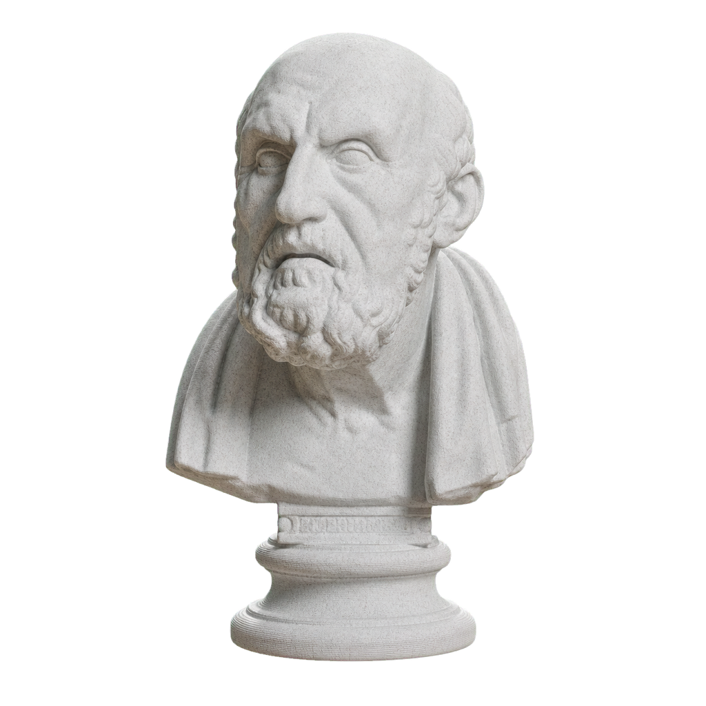 Portrait of Chrysippos Marble Stone collectible bust