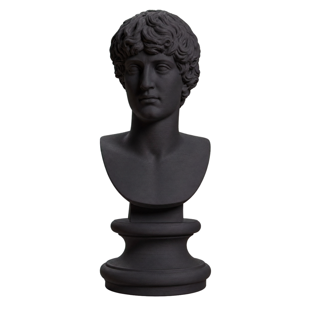 Portrait of a man Charcoal Black collectible bust