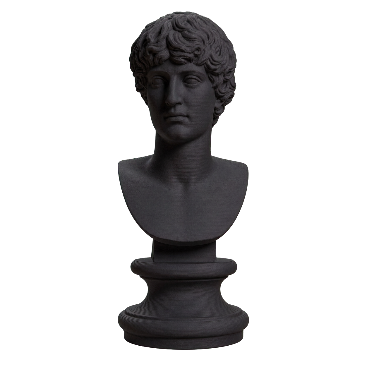 Portrait of a man Charcoal Black collectible bust