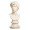 Portrait of a man Ivory White collectible bust