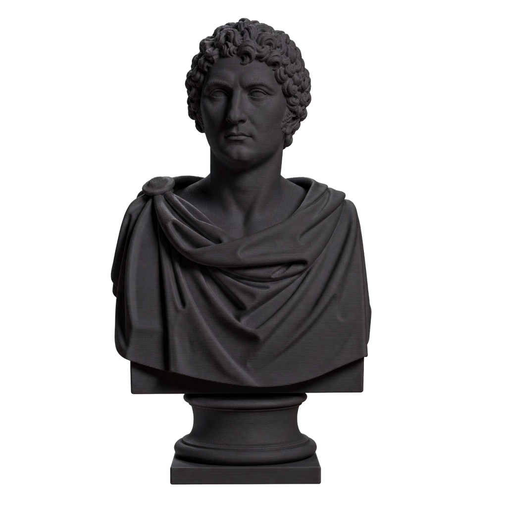 Carl XIV Johan Charcoal Black collectible bust