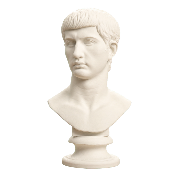 Portrait of an Augustine Prince Marcellus (?)