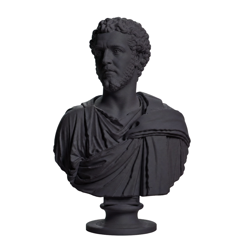 Portrait of a Man (Septimius Severus?) Charcoal Black collectible bust