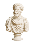 Draped bust of a man formerly known as Clodius Albinus Ivory White collectible bust
