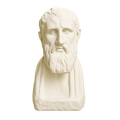Portrait of Zeno of Kition Greek Philosopher Ivory White collectible bust