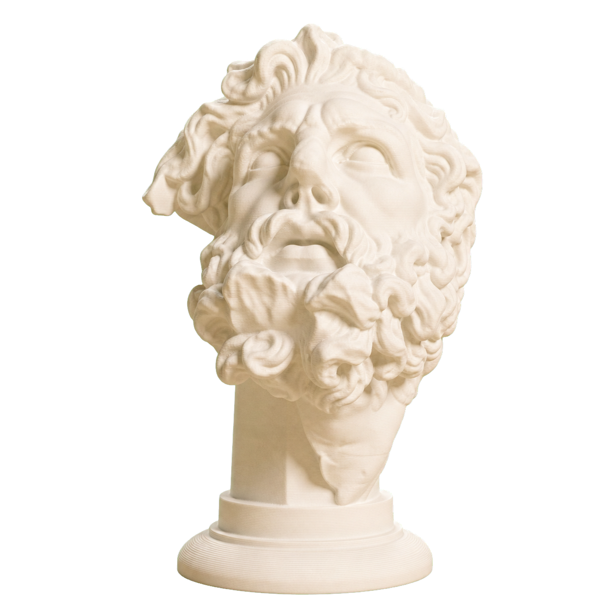 Head of a Giant Ivory White collectible bust