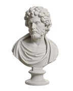 Bust of a Philosopher or Barbarian (?) Marble Stone collectible bust