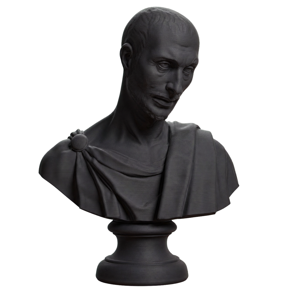 Bust Charcoal Black collectible bust