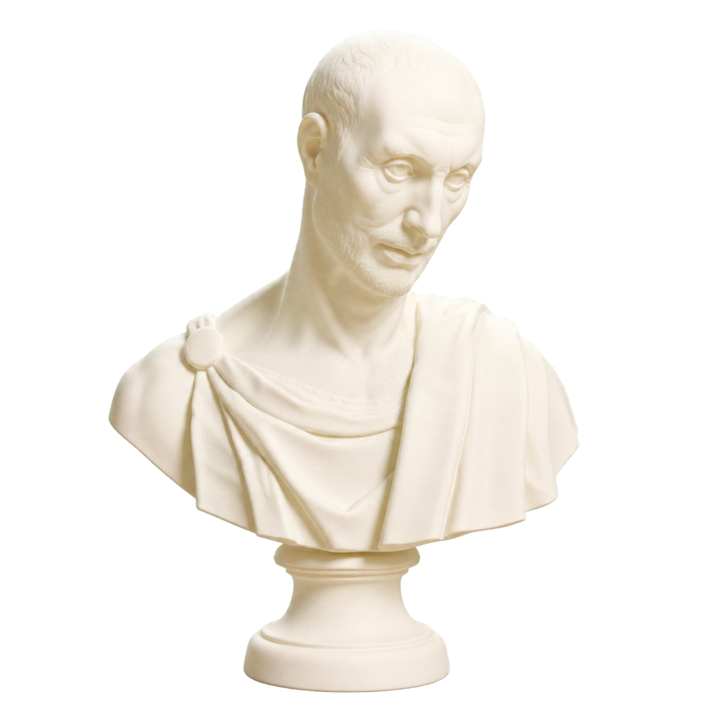 Bust Ivory White collectible bust