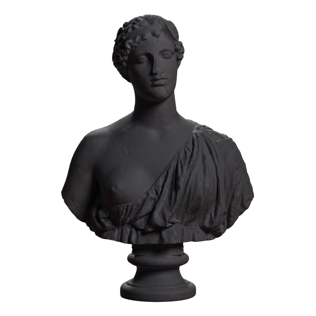 Bust of a woman The Oxford Bust Charcoal Black collectible bust