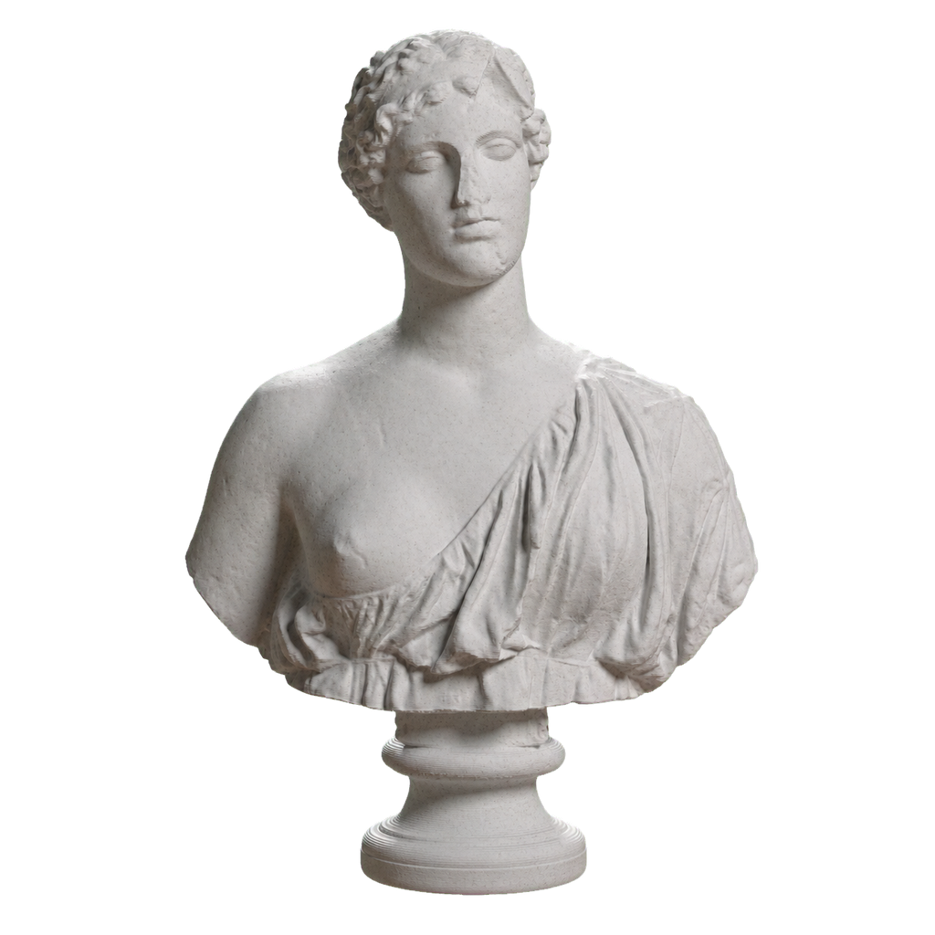 Bust of a woman The Oxford Bust Marble Stone collectible bust