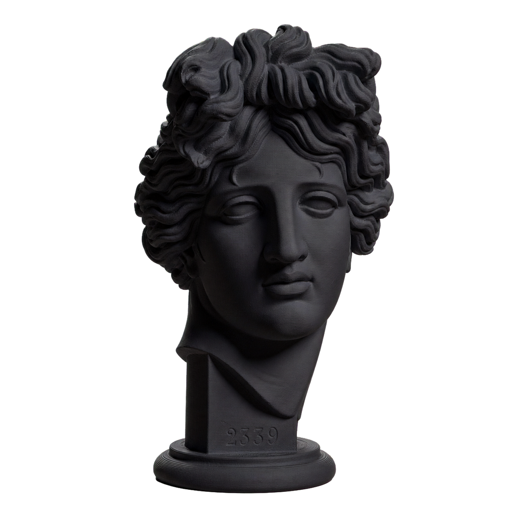 Apollo Giustiniani Charcoal Black collectible bust