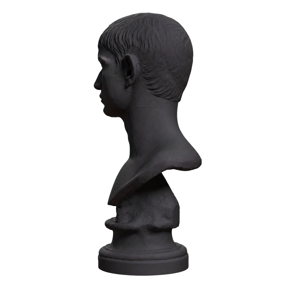 Young Man with Short Hair Charcoal Black collectible bust