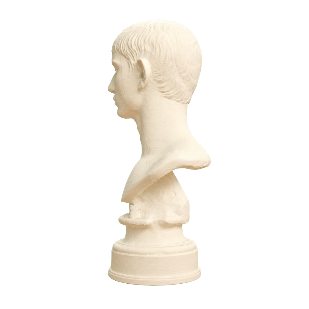 Young Man with Short Hair Ivory White collectible bust