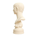 Young Man with Short Hair Ivory White collectible bust