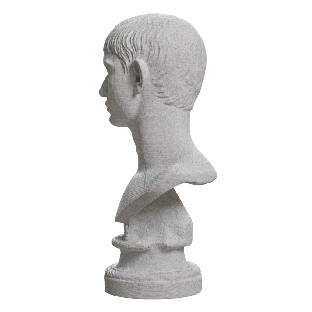 Young Man with Short Hair Marble Stone collectible bust