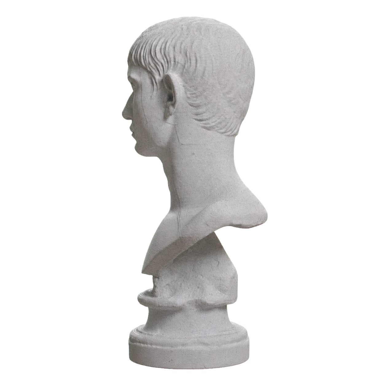 Young Man with Short Hair Marble Stone collectible bust