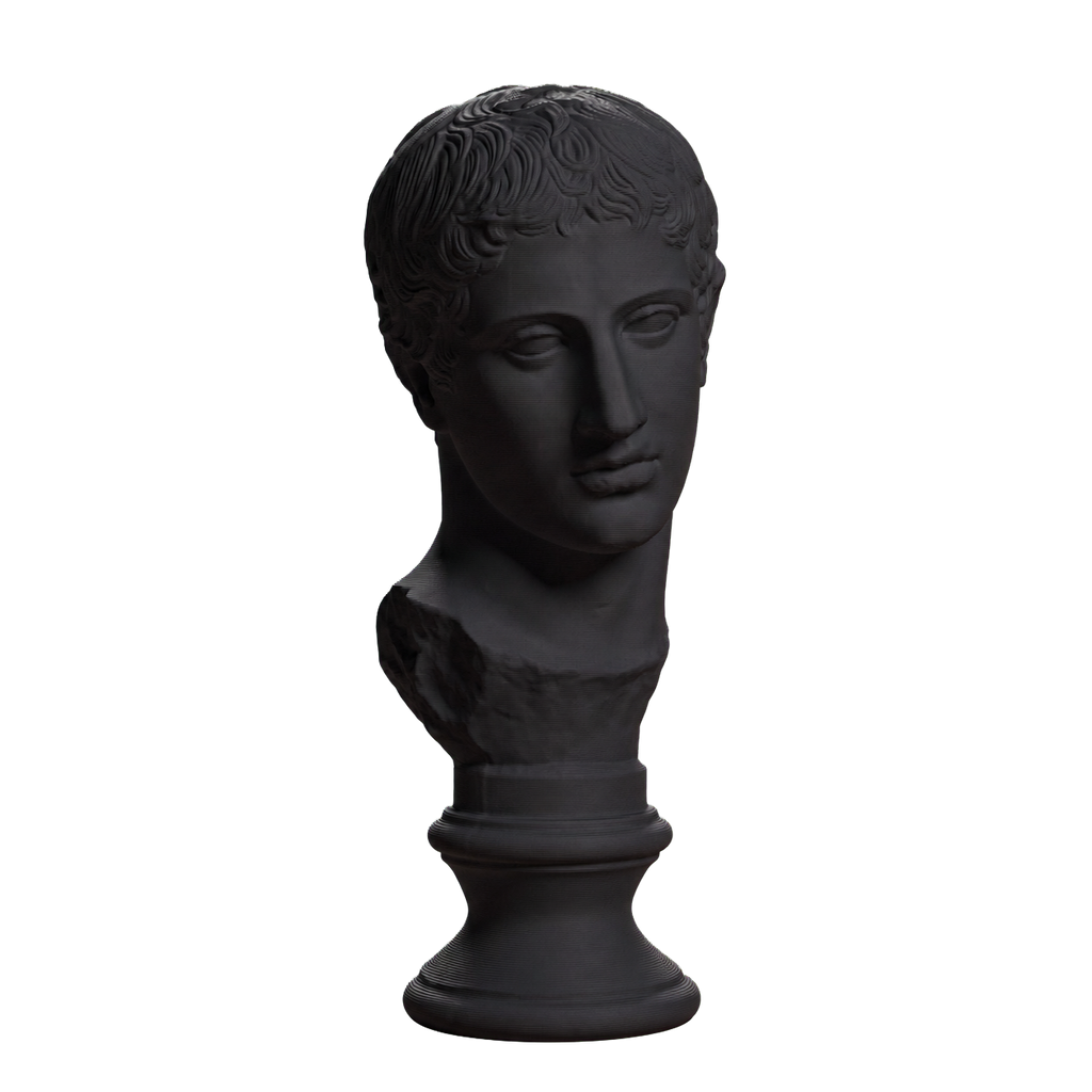From a statue of Diskoforos or Diskos carrier Charcoal Black collectible bust