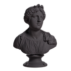 Bust of a young woman Charcoal Black collectible bust