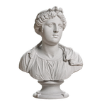 Bust of a young woman Marble Stone collectible bust