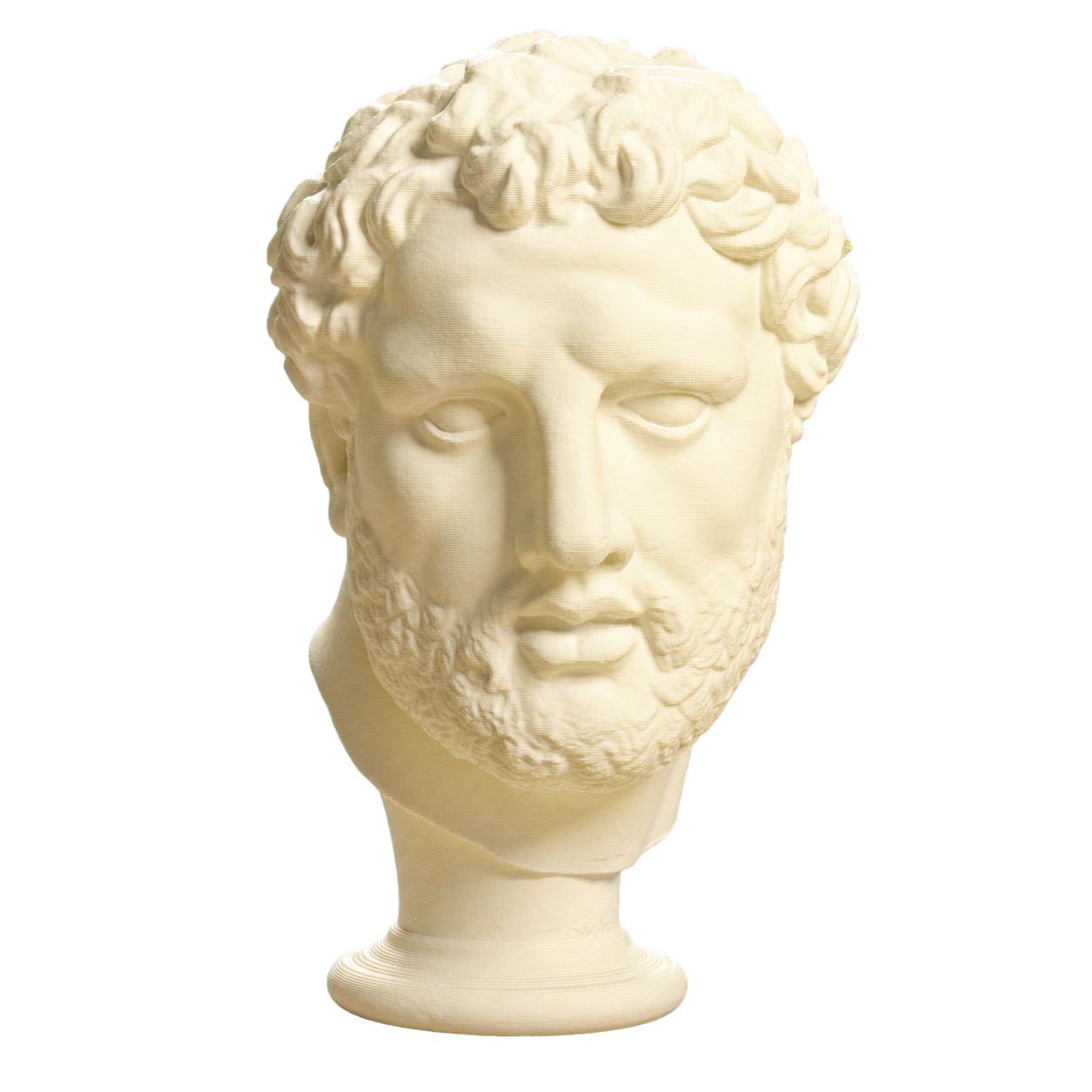 Head Ivory White collectible bust