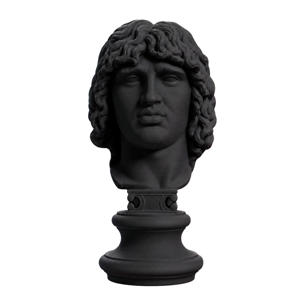Head of a Barbarian Chief Charcoal Black collectible bust