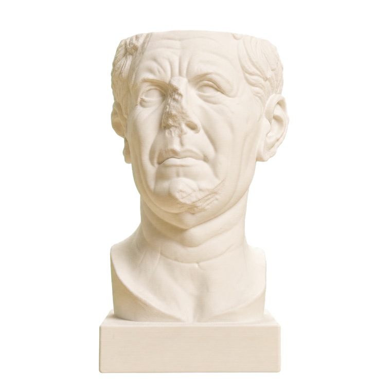 Portrait of a Roman the so-called 'Tivoli General'