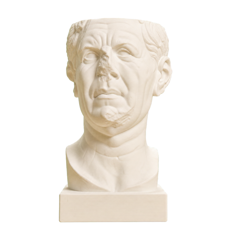 Ancient Portrait Heads