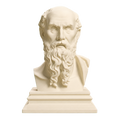 Diogenes Ivory White collectible bust