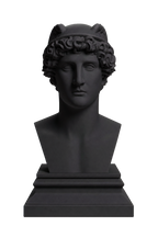 Hermes Charcoal Black collectible bust