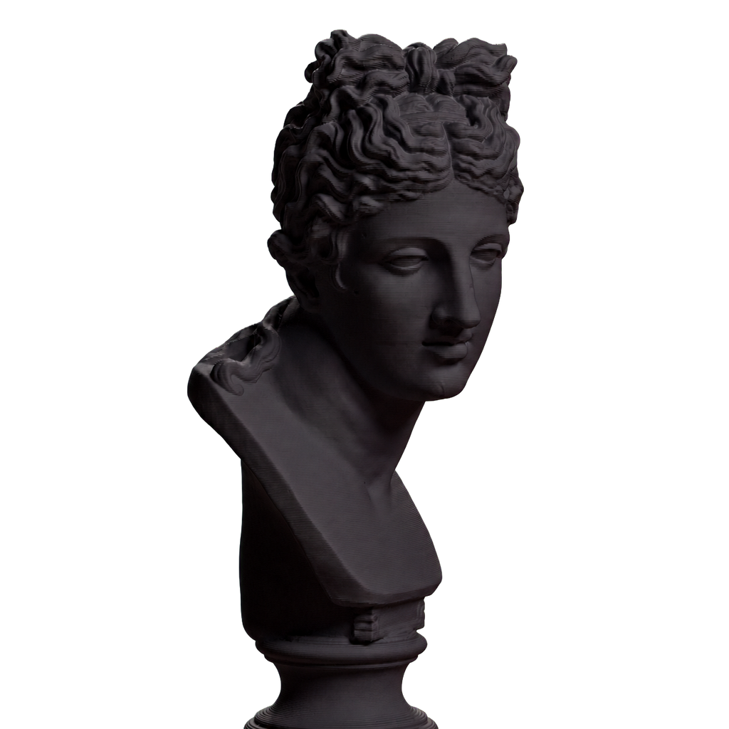 Roman Woman with Head Turned Right, SMK KAS531 Charcoal Black collectible bust