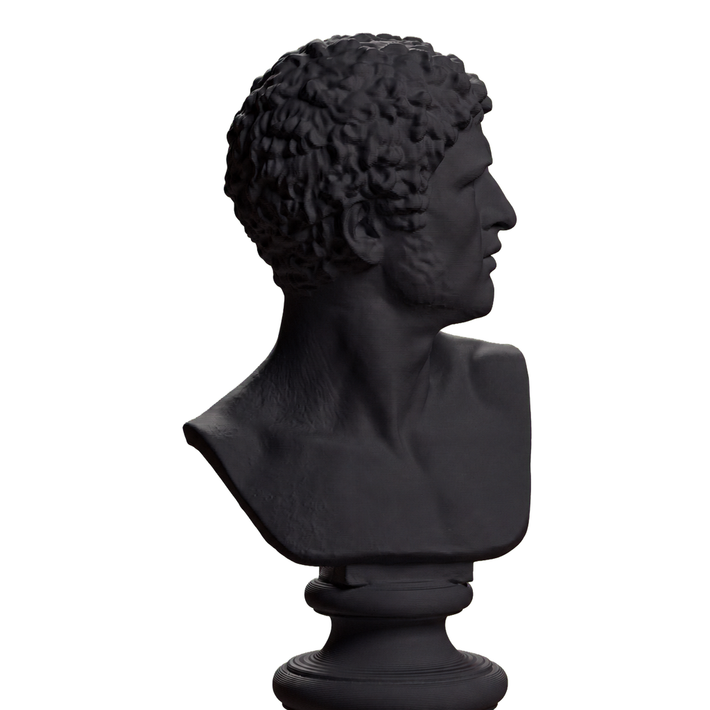 Bearded Man with Head Turned Left, SMK KAS2133 Charcoal Black collectible bust