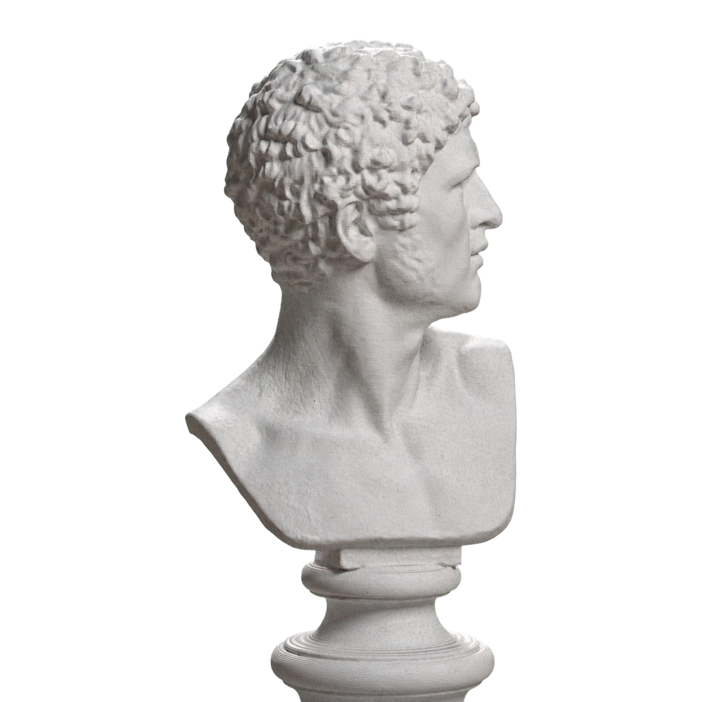 Bearded Man with Head Turned Left, SMK KAS2133 Marble Stone collectible bust