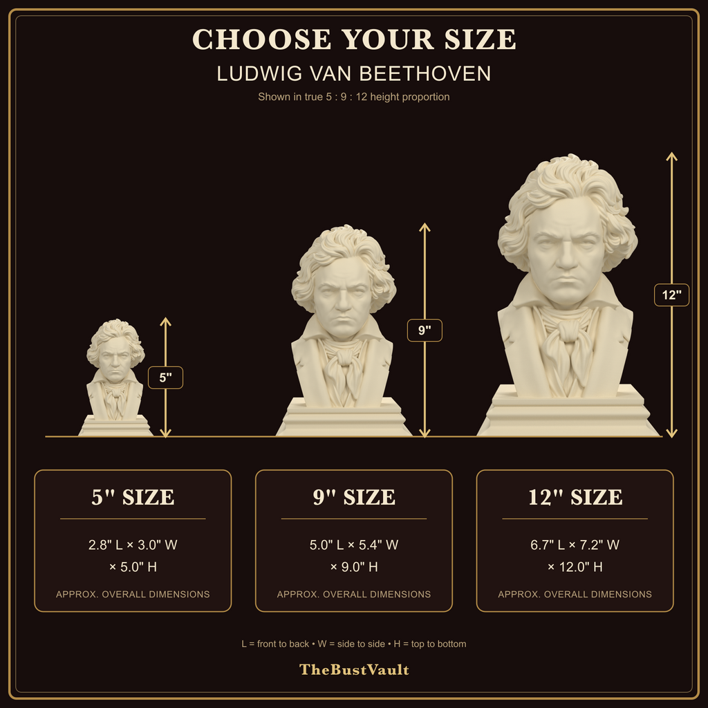 Ludwig van Beethoven bust size guide