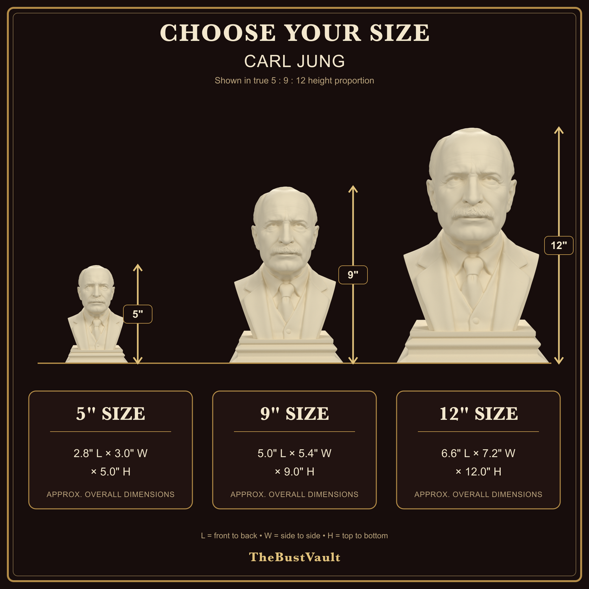 Carl Jung bust size guide