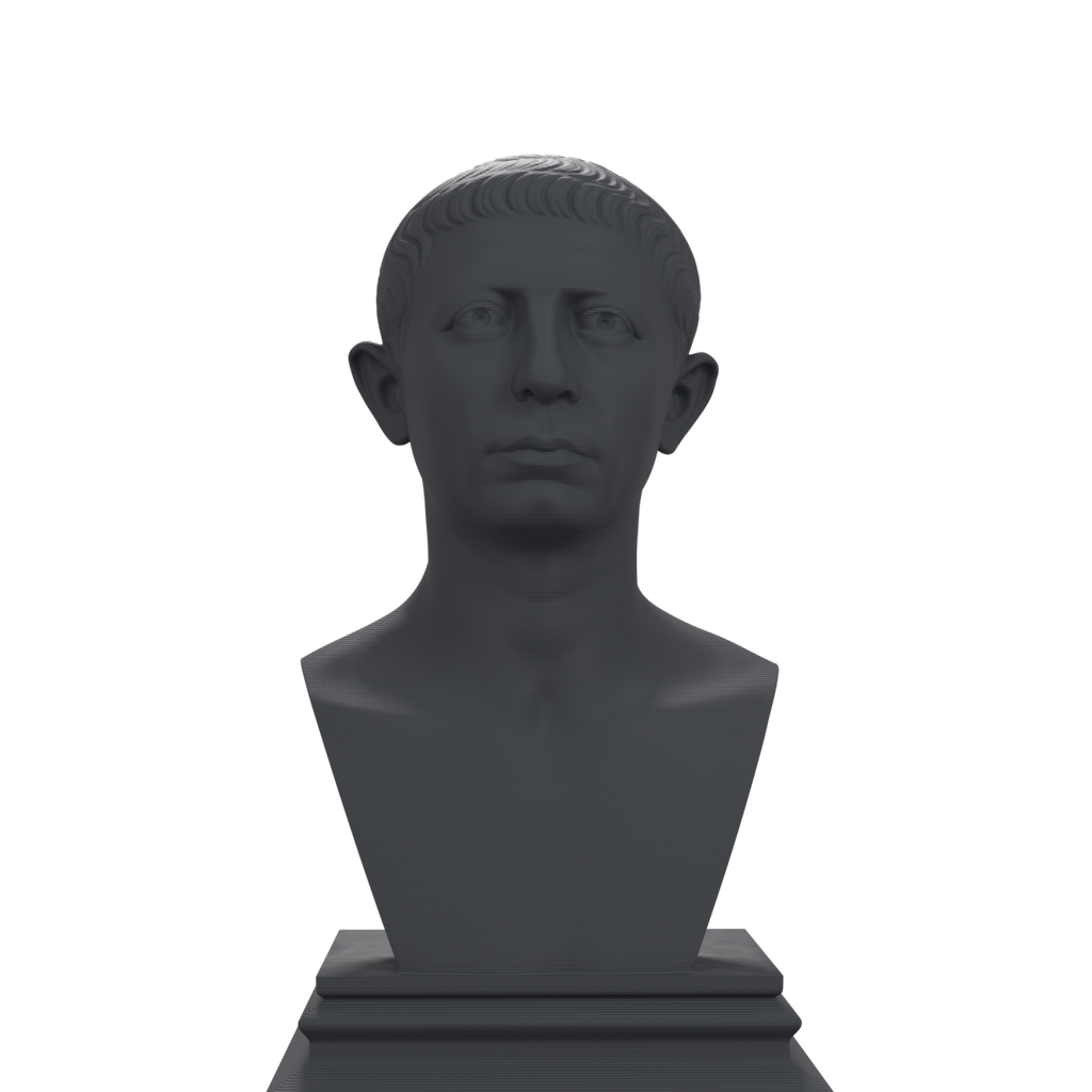 Cato the Younger bust finish charcoal black