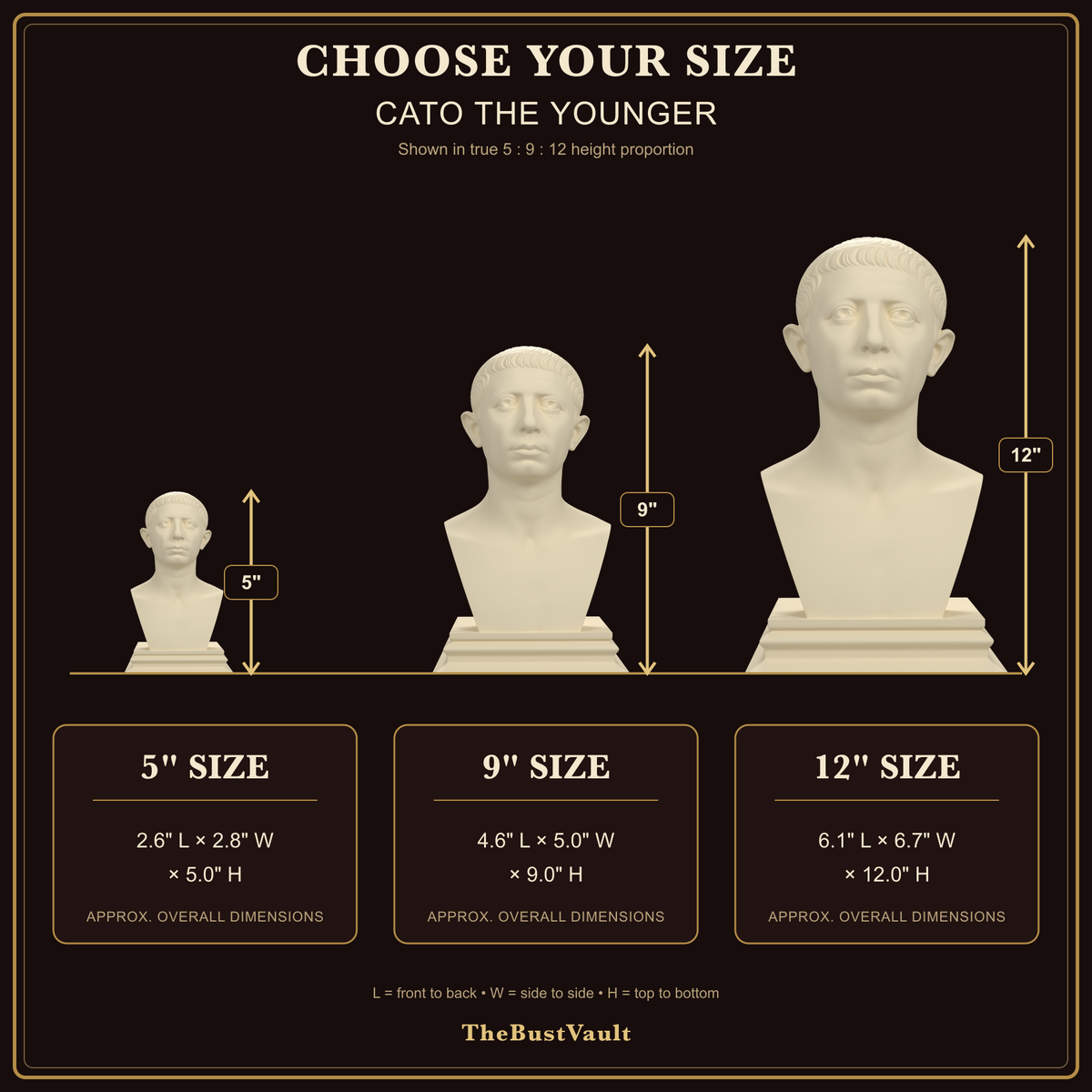 Cato the Younger bust size guide