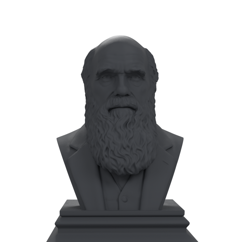 Charles Darwin bust view 3