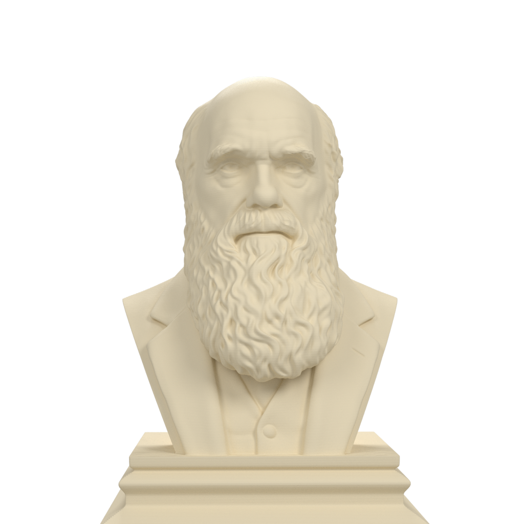 Charles Darwin bust view 1