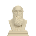Charles Darwin bust view 1