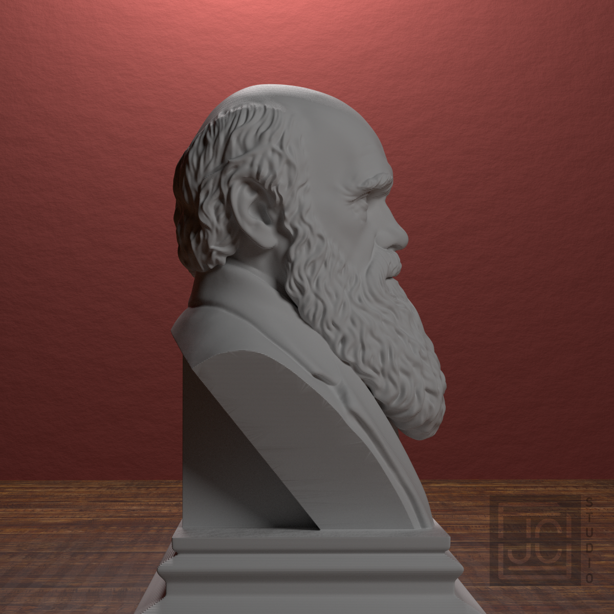 Charles Darwin bust view 6