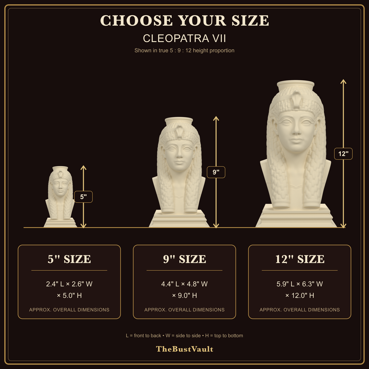 Cleopatra VII bust size guide